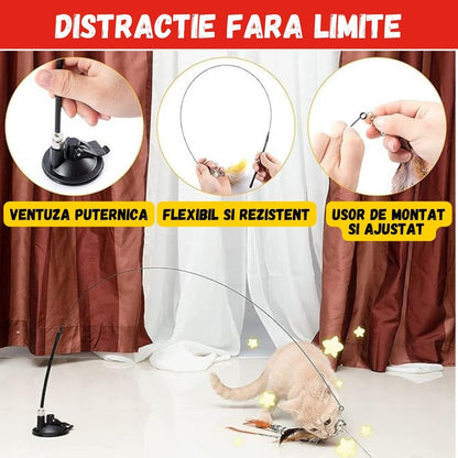 1+1 GRATIS JUCARIA MAGICA PENTRU PISICI