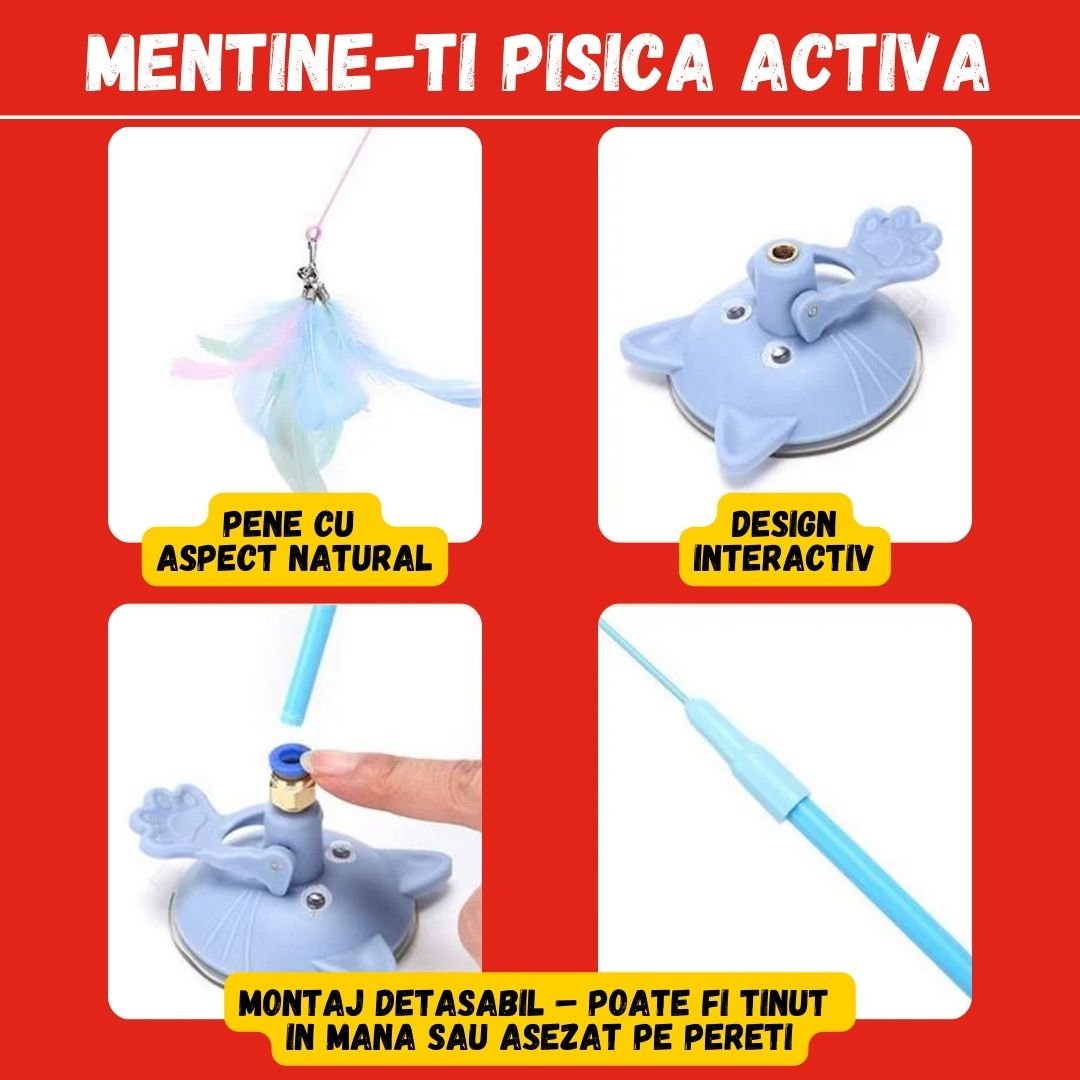 1+1 GRATIS JUCARIA MAGICA PENTRU PISICI