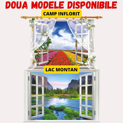 1+1 TABLOU MODEL FEREASTRA