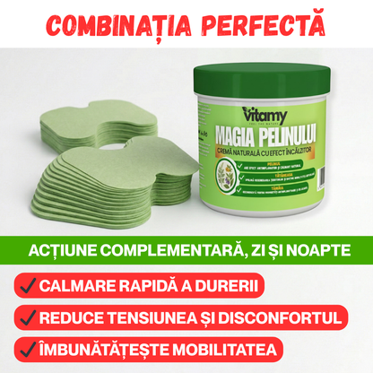 PACHET ANTI DURERE CREMA+50 PLASTURI MAGIA PELINULUI