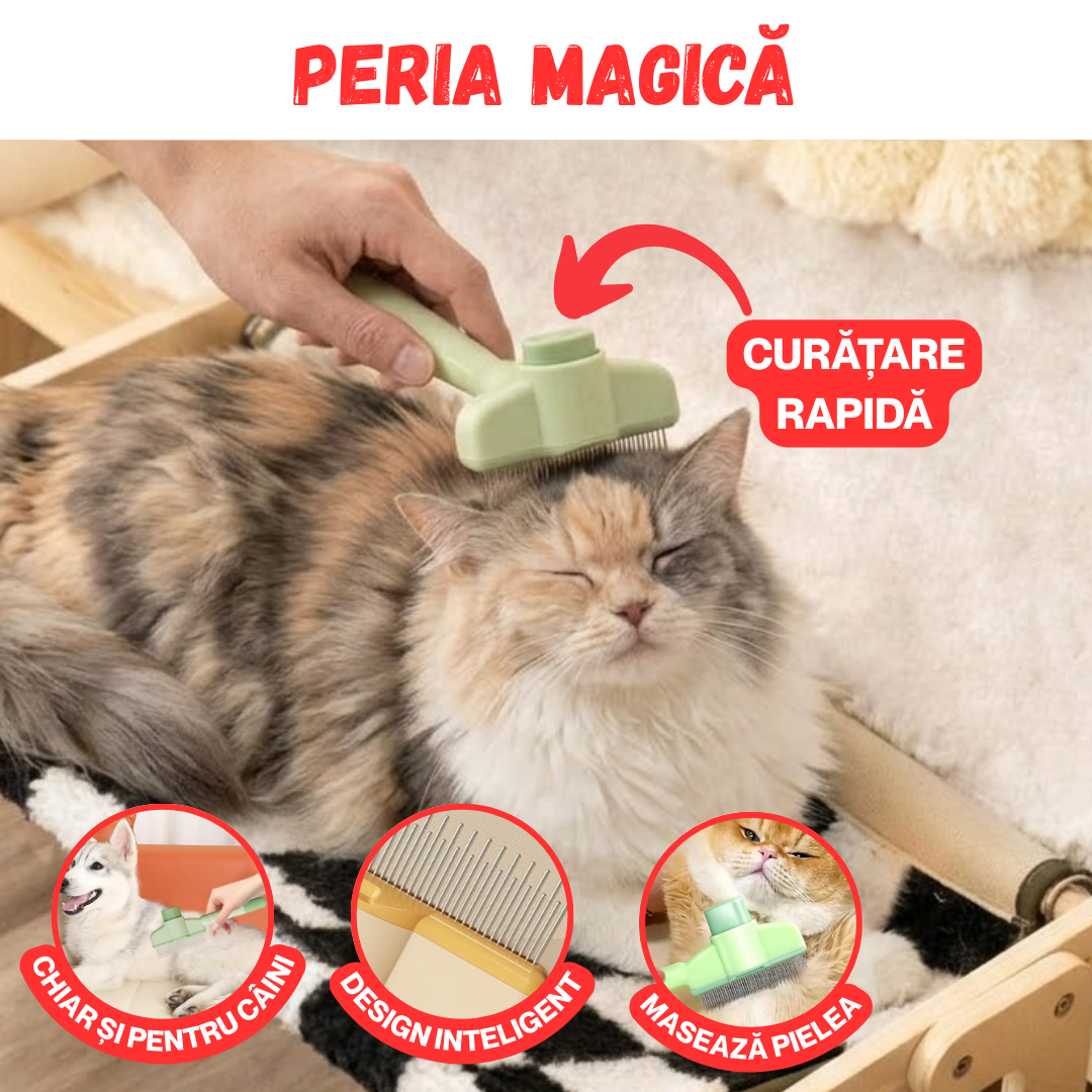 PACHET SPECIAL PENTRU ANIMALUTE