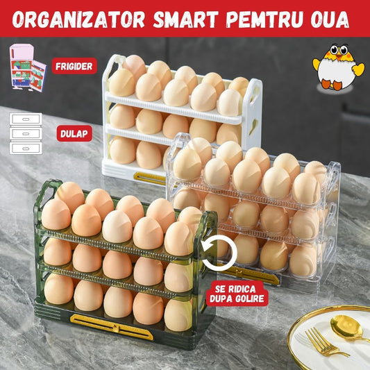 ORGANIZATOR SMART PENTRU OUA