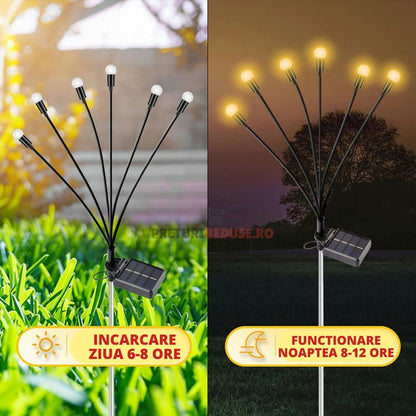 SET 2 DECORATIUNI SOLARE