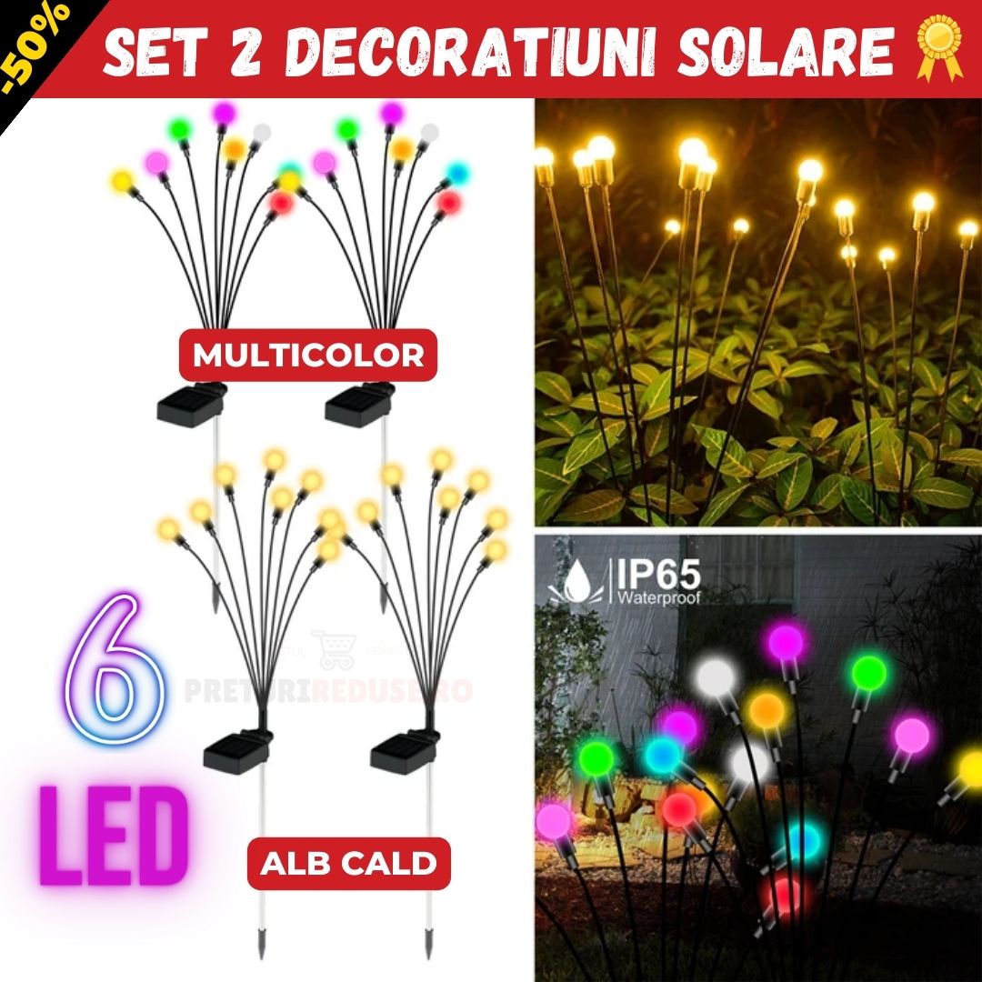 SET 2 DECORATIUNI SOLARE