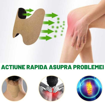 SET 100 PLASTURI MAGICI